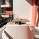 Aulona's